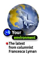 Your Environment - The latest from columnist Francesca Lyman