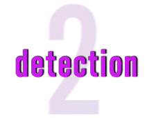 2_detection
